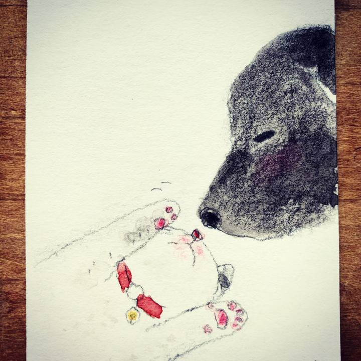 1e1f1aca f852 4875 9e8f 9ec712fab987 1611021886192