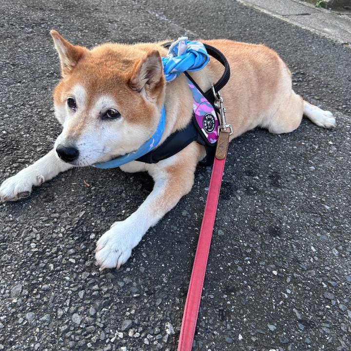 1e1f3355 629f 42d7 903a fb68a3a0bbb4 1726614030926