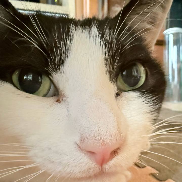 1e1f3bf4 69dd 46a0 9e27 be03c156abdf 1755913487082