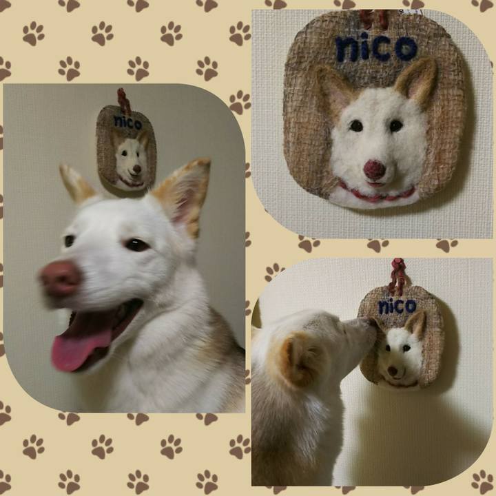 1e1f5303 a9ba 4da2 be4f 55d4f7cae5b0 1514810750945