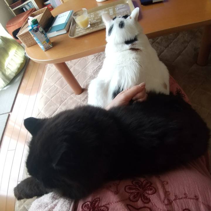 1e1f6bad a02f 457f 96b4 4e831f653efc 1654576589723