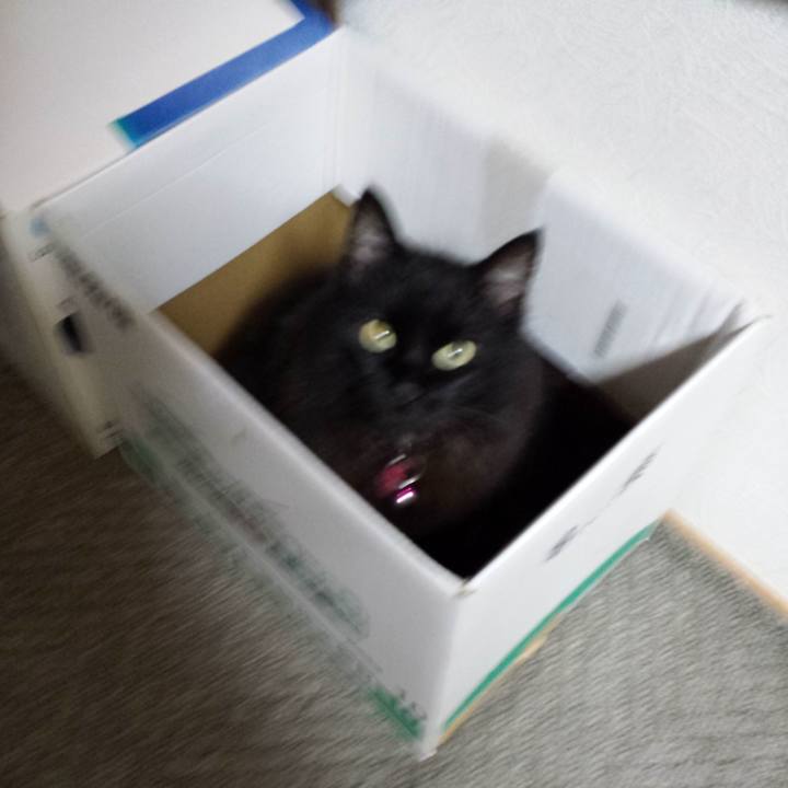 1e1f72a5 e8d5 4cee 82cd a496d72297c3 1516775951165