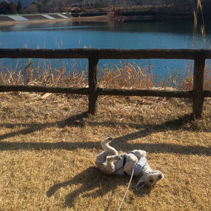 1e1f9d04 24a9 49b6 8245 eec7896e5860 1770897855080