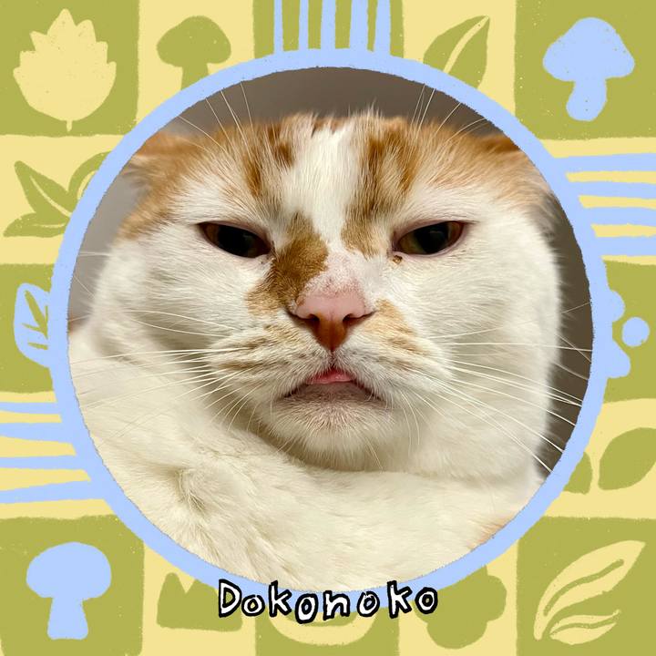 1e1fab0e d73e 465f bdc6 ee439ef089f3 1762228802804