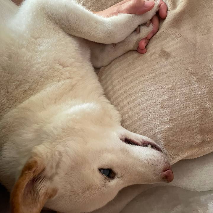 1e1fcbe5 8dad 4c33 a9a0 3eed6e7f15a5 1635039432846