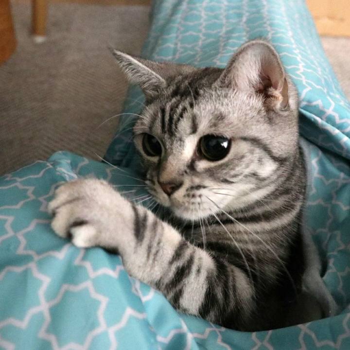 1e1ff041 d034 463d 85d6 67e74850cf84 1588414313284