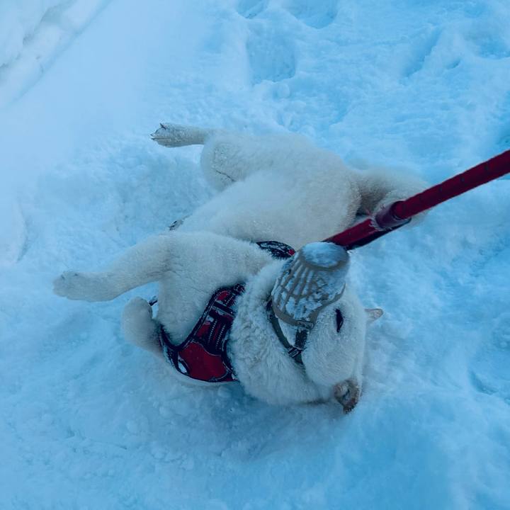 1e1ff378 b67b 42e0 b974 74c7ae023da7 1705790046575