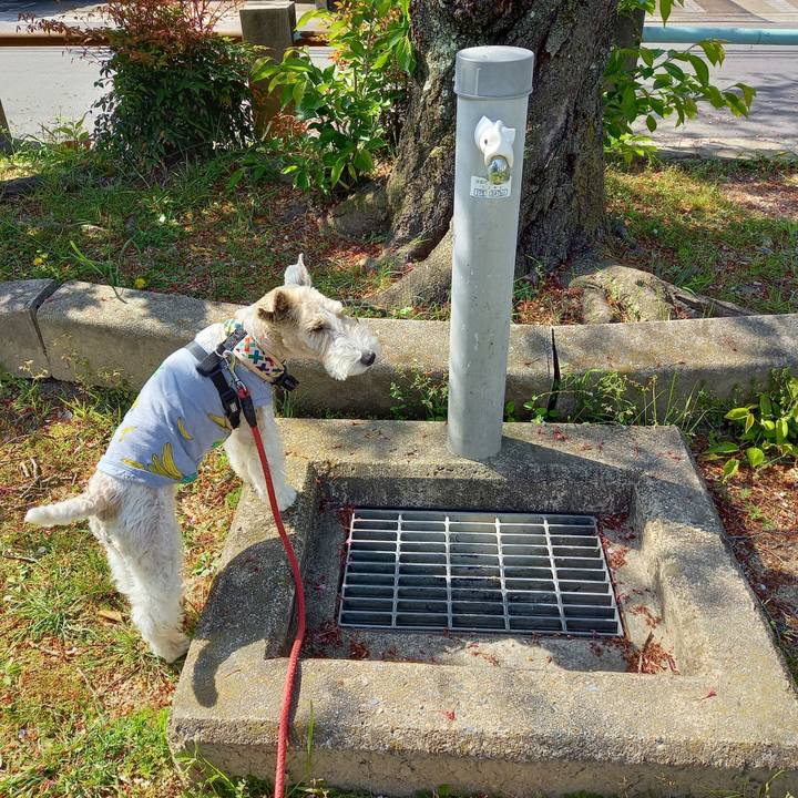 1e20036c 7488 4cc9 947a 0a80f8801a13 1618964199705