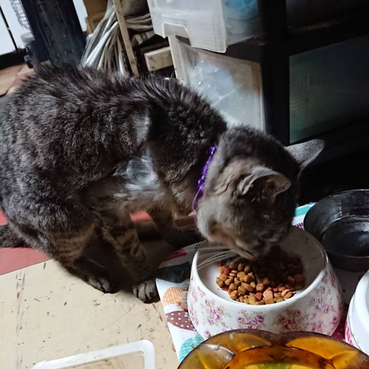 1e203375 1c78 4fe9 afe0 45980a008b0e 1594582391811