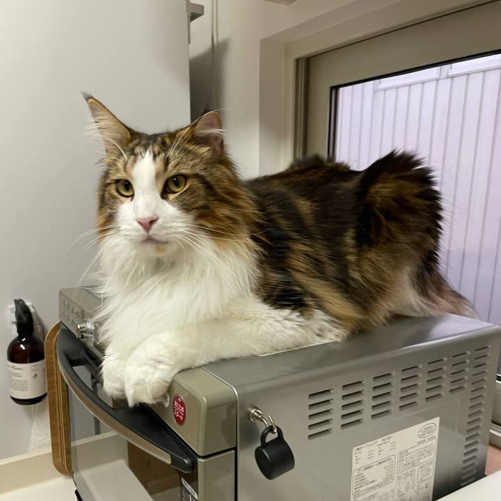 1e20491e 5d46 4123 885e 2b6872243a93 1657314061353