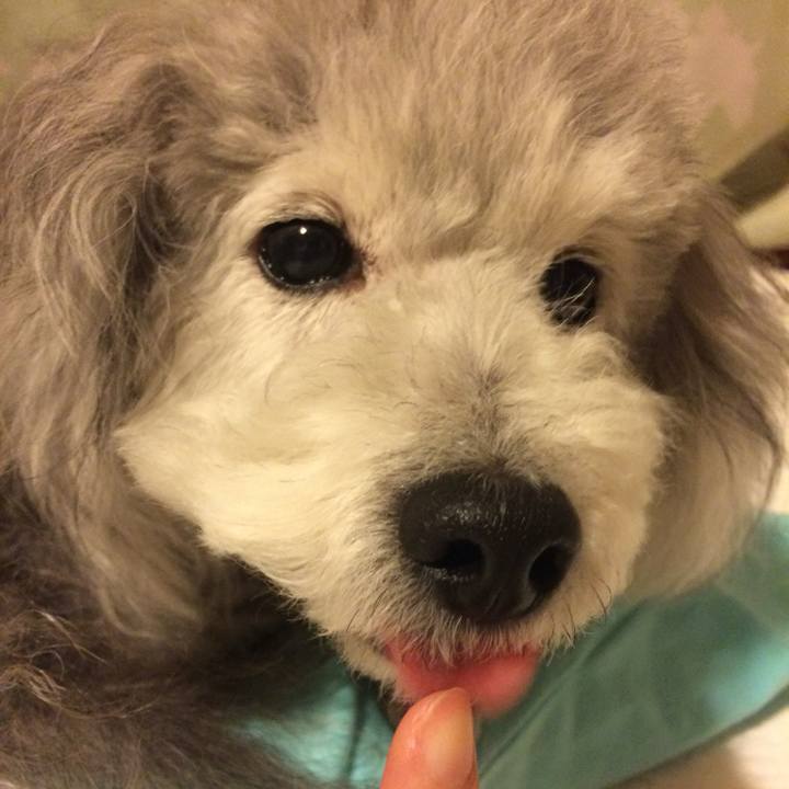 1e20a4ff b936 4940 bc0b 584dce7f077f 1749480078014