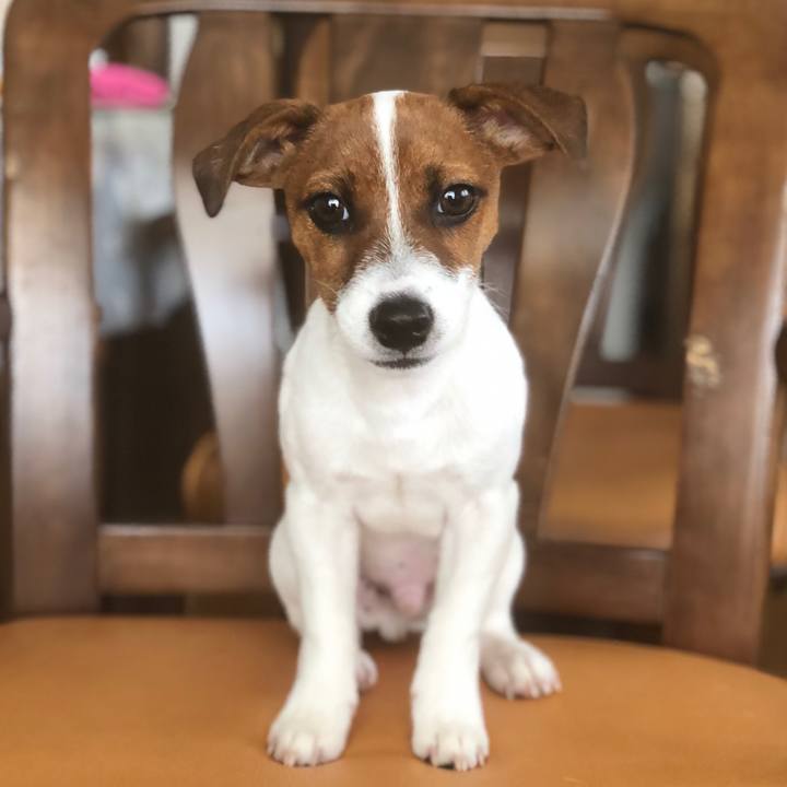 1e20d5c8 a5b1 40da a6e4 66b0127d8540 1517572272914