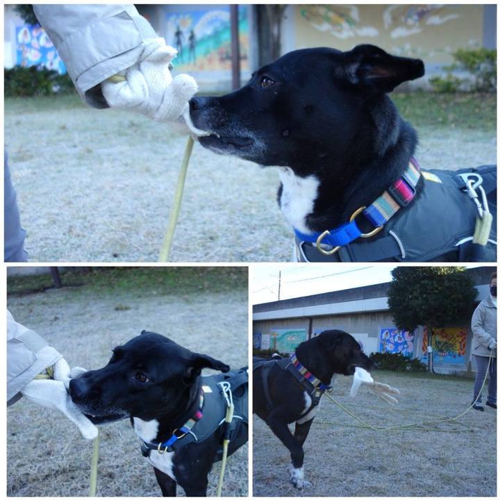 1e211a9d d706 4233 a8aa f8998876469d 1638233141562