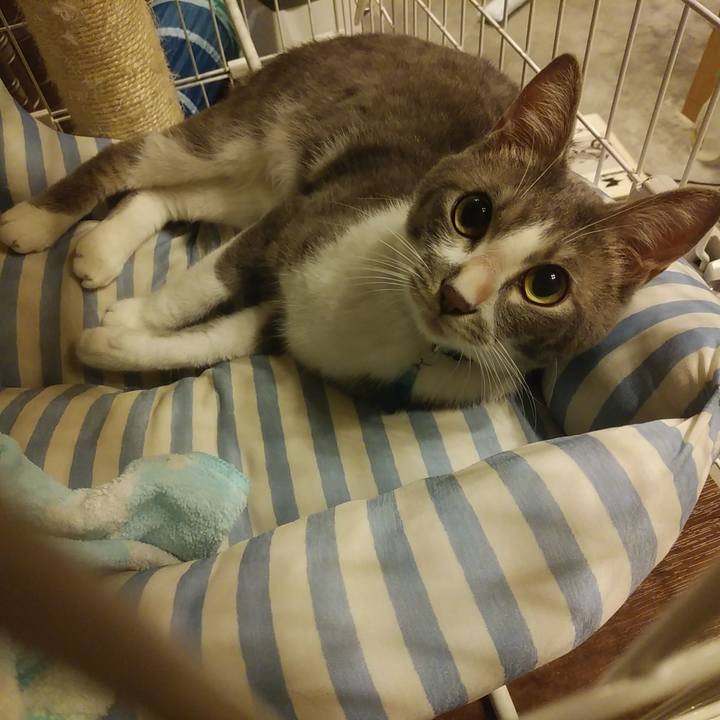 1e211b54 c0d8 4868 9e7f 5b4692fde8b0 1592060849852