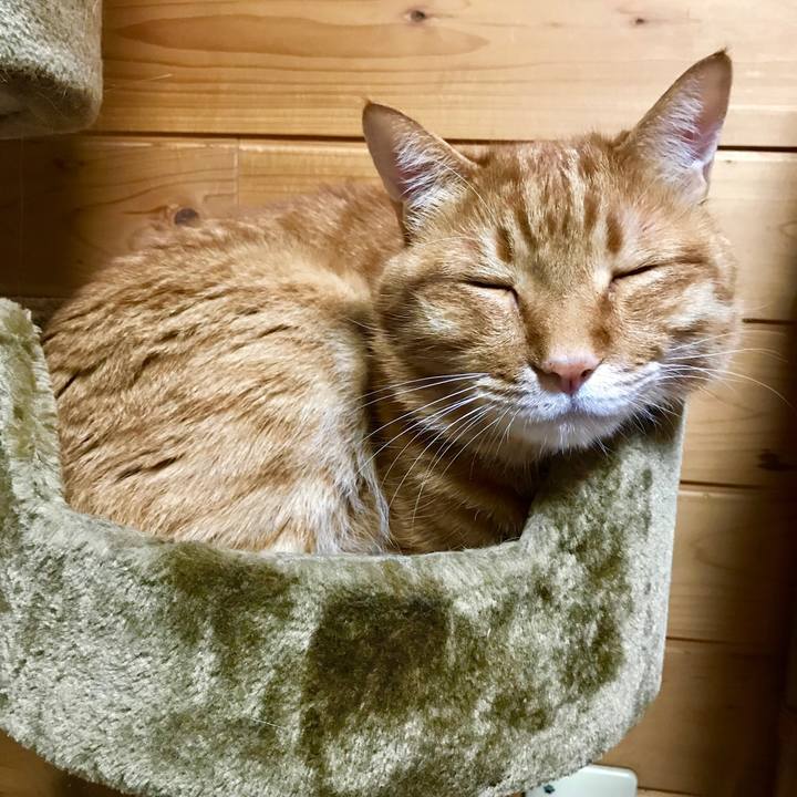 1e211bc5 1f5f 4db8 8d15 d8cb48c05513 1557236540961