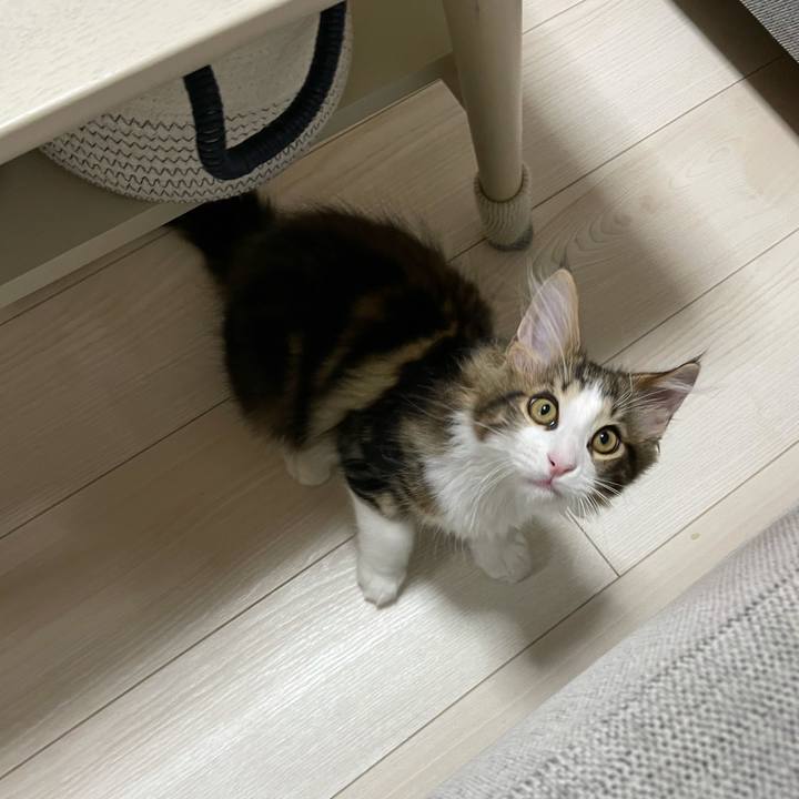 1e212ebb b1a8 494e 84bc 98997d7e38b0 1633989205358