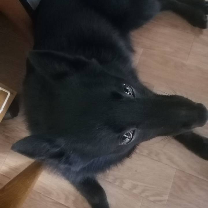 1e213fe1 5228 4a7f b73a ab296cdd7f4c 1628804301223