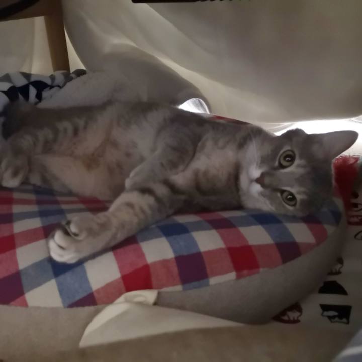 1e214d34 d7a9 4ac3 9f3a 3040c880d2fc 1572965916467