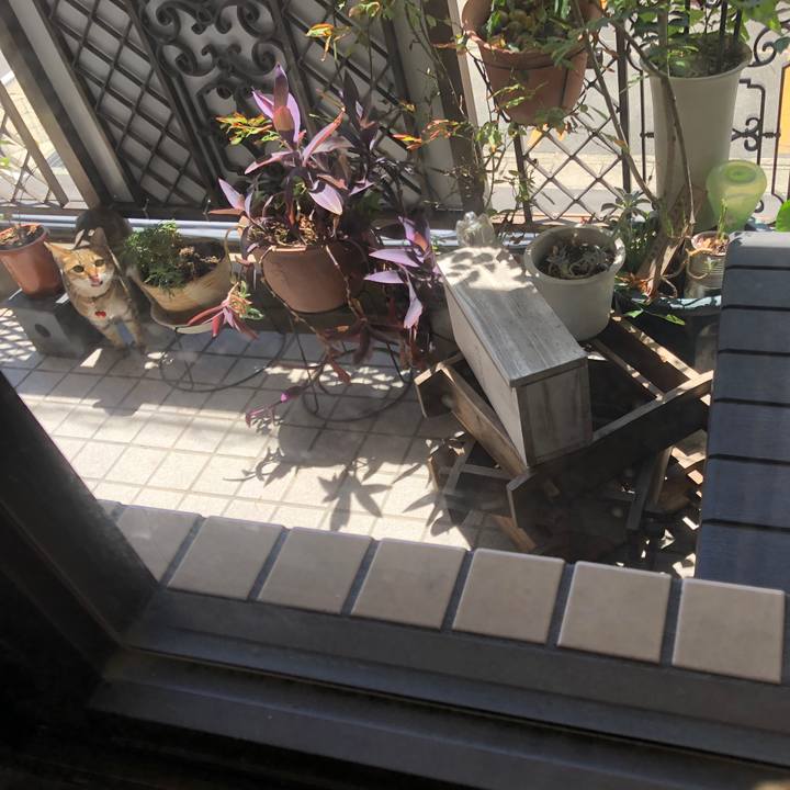 1e2179ea fc2c 4d29 83d1 0585628ca981 1660020007421