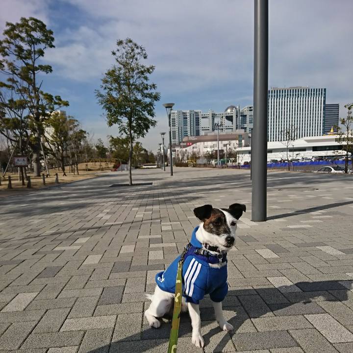 1e2196c7 4704 4cd1 bc38 f6f853ba71ba 1516079106477