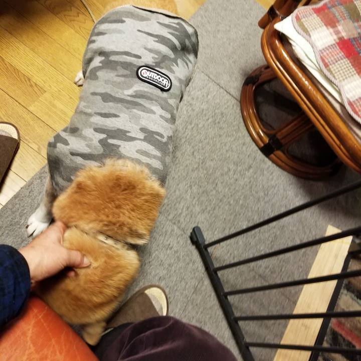 1e2196de 2e69 4f10 85fe f844f5574e81 1644051285962