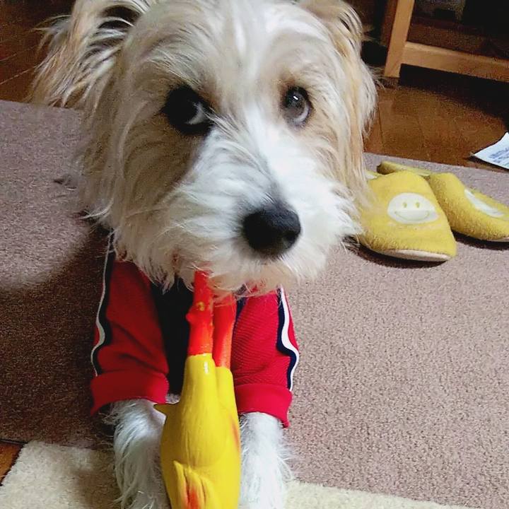 1e219d61 c8fb 43f9 a428 c539703fae57 1572698278116