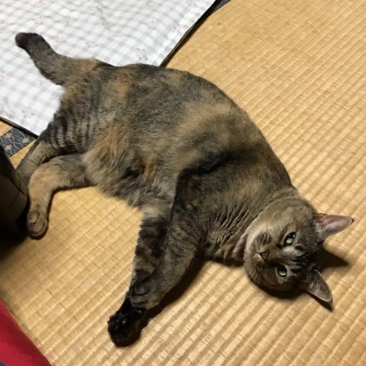 1e21c10c d679 4f53 9e3b 2f60e09be2e6 1723111244933