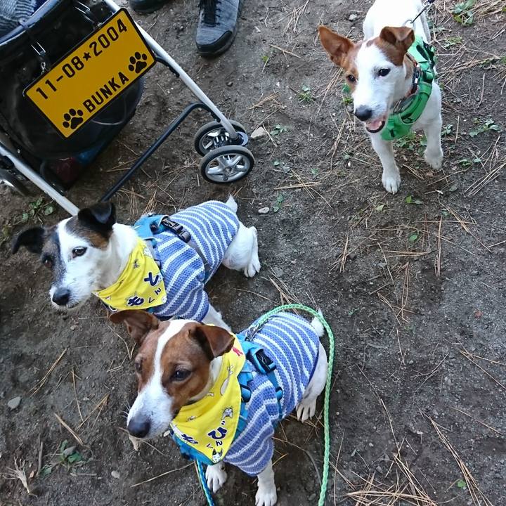 1e21e45c 47a4 4e86 9767 2d64eed59d5d 1606543769685