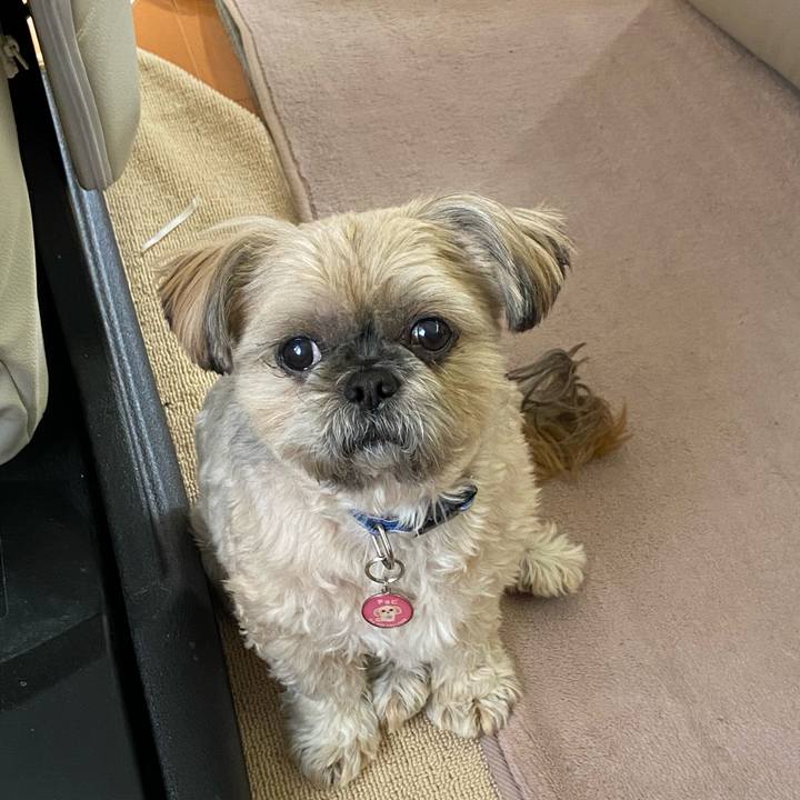 1e2226ee ee2f 4e35 b382 6eb7612898cd 1579153669256