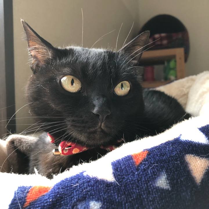 1e224305 3628 4bc9 b653 ea9191e3a0b8 1614554204096