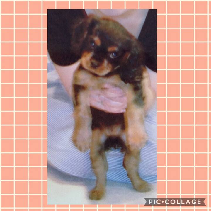 1e2243d3 7650 496c 8142 77d467c306a7 1543150482769