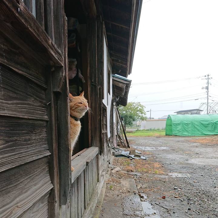 1e2246b7 71e1 4324 a529 20293cf34bff 1662534337510