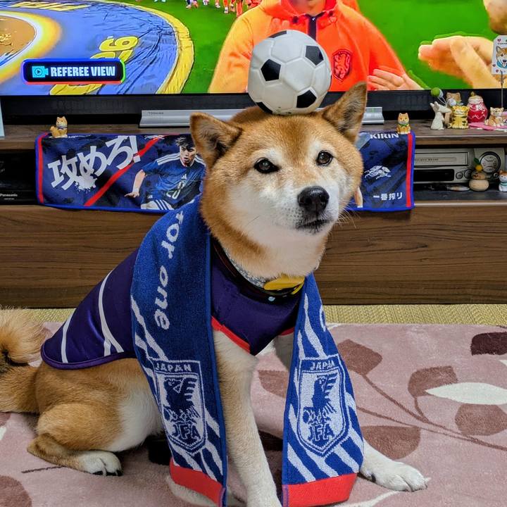 1e228ba5 51e6 4647 8b8c 5f7a05089e0d 1781483762345
