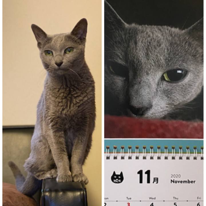 1e22ac64 f37b 4245 8c51 c7716f9c40ce 1604205689894