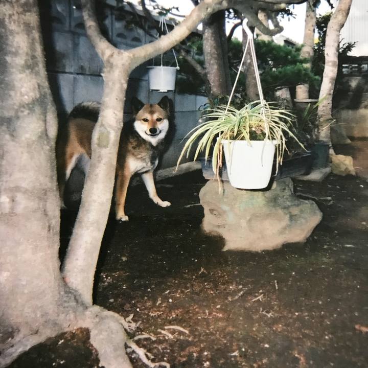 1e2307d2 cee2 4c13 8fbf 32b7a68ea79e 1515336904542