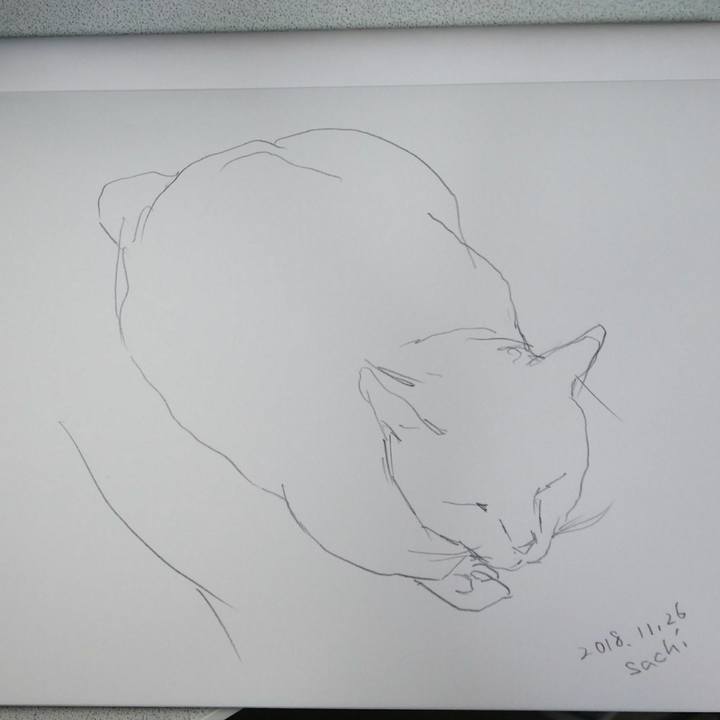 1e232b31 efef 4313 8249 f2cc973e9d6a 1543228747752