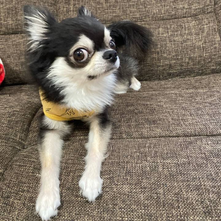 1e23450e 2207 407e 8a22 32c43bf083b5 1699679827328