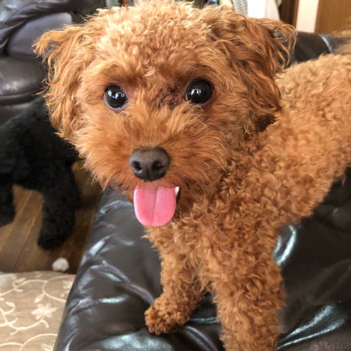 1e234cdc 68ed 42a7 8ec4 10127ab59555 1528842289182