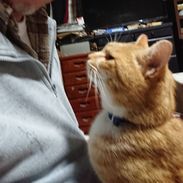 1e23562e d004 4eca 997f 45435d2e7636 1607375012024