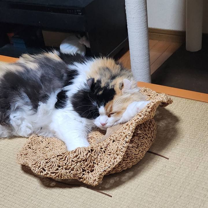 1e2361de 9053 41e9 9b6d 46c3c294782d 1752620894316