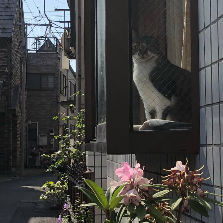 1e238a7e f161 4b3a ad8b 267195736424 1524210073935