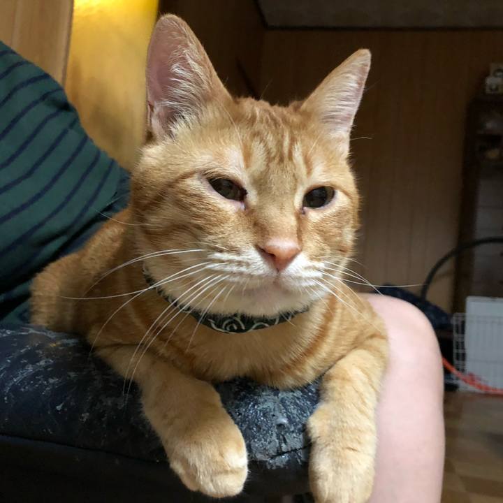 1e23e079 4062 4716 bae0 ffd906ebc5b6 1558881048958