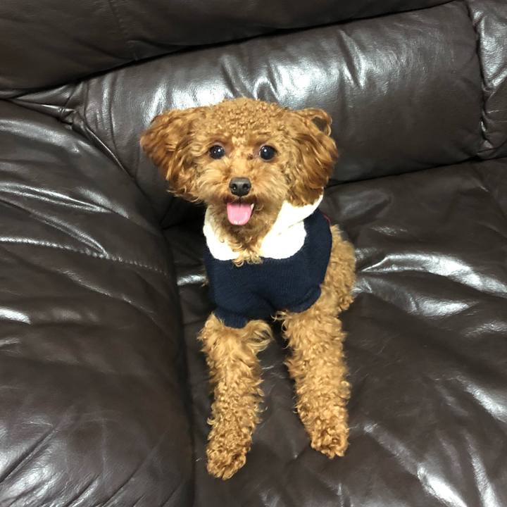 1e242432 81a0 46d6 8ceb d32cf5dee948 1512380212694