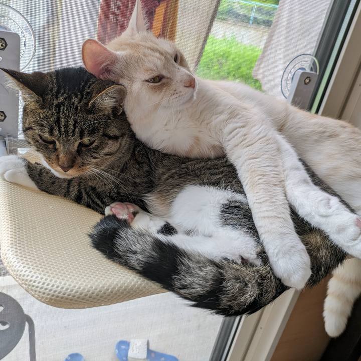 1e24349d b337 4a6d a167 add5e2866172 1687575968948