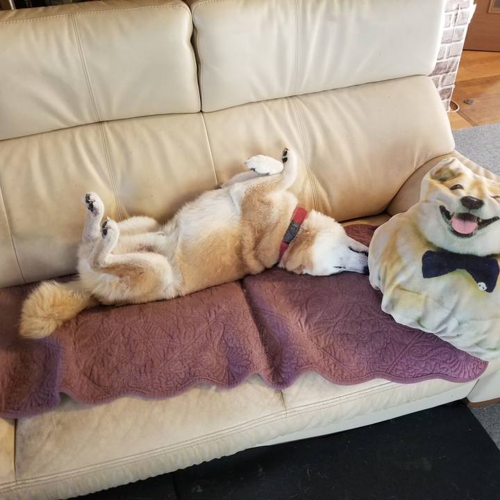 1e246675 7348 4bf6 a7c5 727c373ec71e 1759186019579