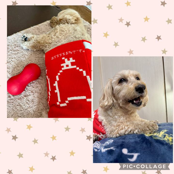 1e248832 3835 42dc b705 9e100a993a2b 1769327331673