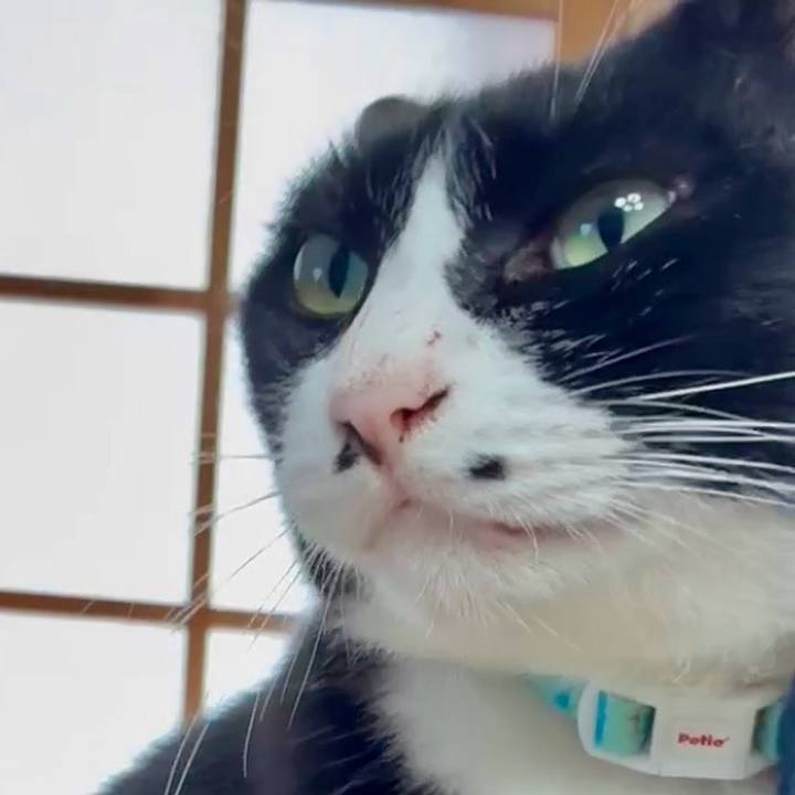 1e24c4c0 55f1 4b86 b005 ec58d6b4ec37 1761267865428