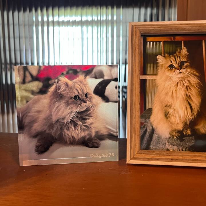 1e24cba7 bc5e 4ea7 8e70 4ef4c18ce8ba 1751761773524