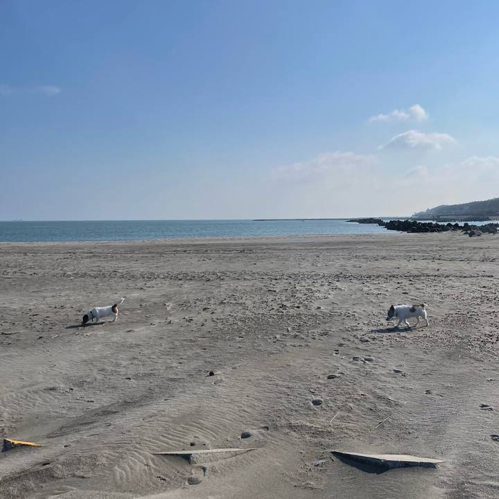 1e24e8cd 6548 4f67 9148 1b7b65e8980a 1747093740554