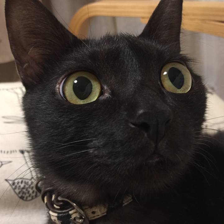 1e24fce4 f7f2 4179 befd d20d37fd3031 1510360993431